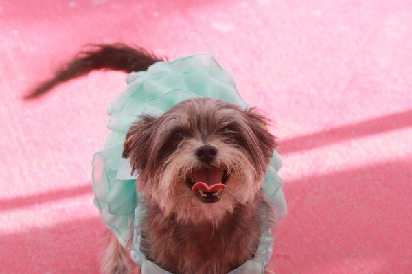 Photo of Marydulce Q.