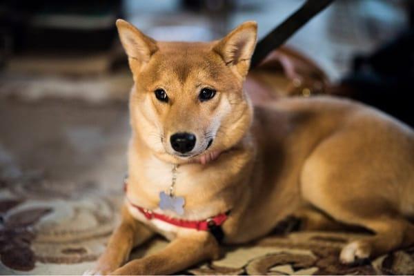 photo of Christine T.