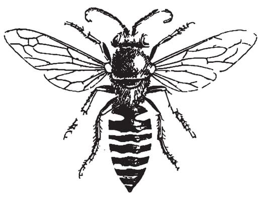 Photo of Bella B.