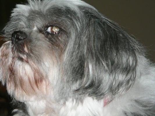 Photo of Sandi S.