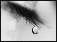 Photo of Lorie M.