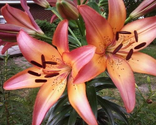 Photo of Kathleen B.