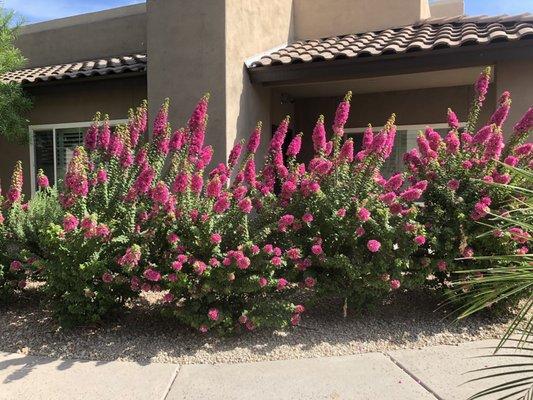 photo of Jennifer M.