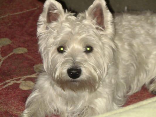 photo of Jennifer S.