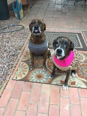 Photo of Victoria L.