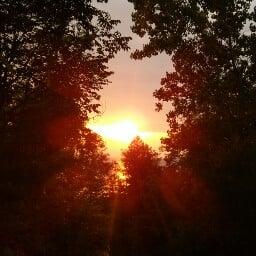 photo of Nicholle E.