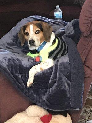 photo of Jonathon B.