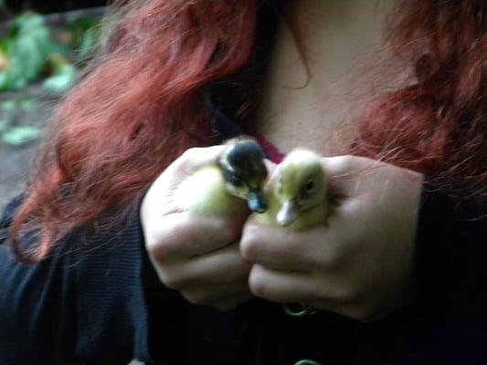 Photo of Jenny N.