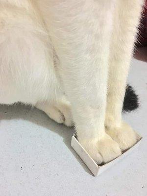 photo of Elizabeth G.