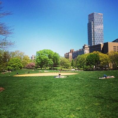 photo of Meredith S.