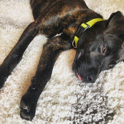 photo of Elizabeth T.