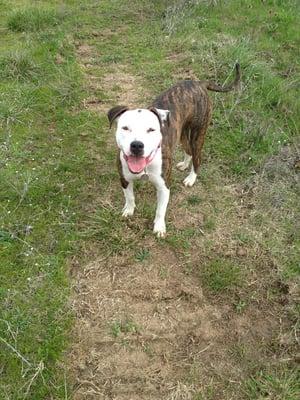 Photo of Michelle O.