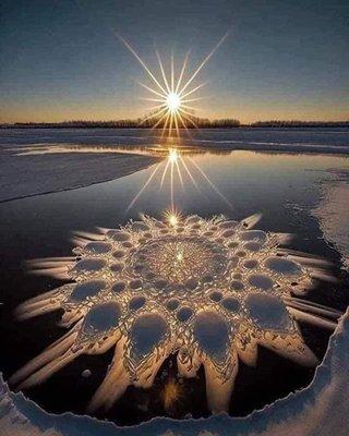 photo of Krysteen L.