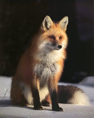 Photo of Rick S.