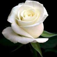 photo of Michelle B.