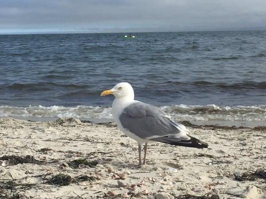 photo of Gretchen P.