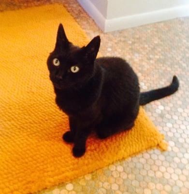 photo of Rosemary H.