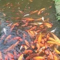 photo of Hans Glamel F.