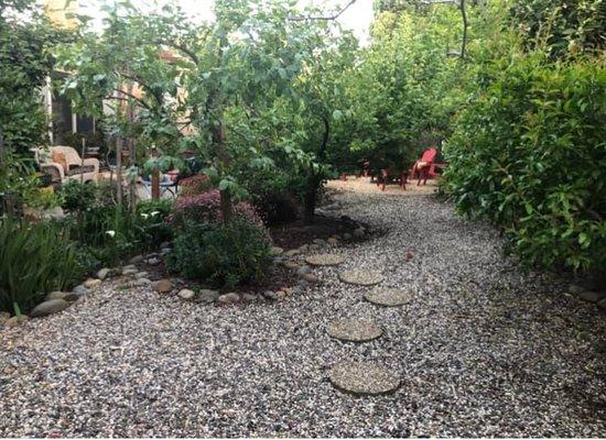 photo of Honeygirl R.