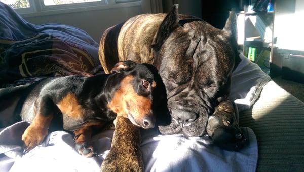 Photo of Anchorage S.