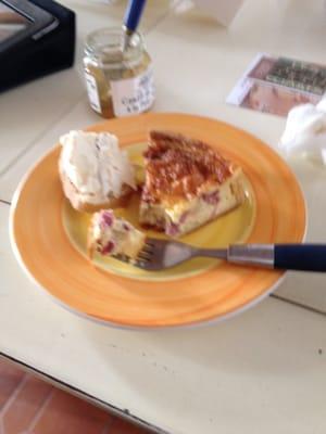 photo of Ann Marie B.