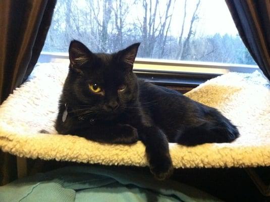 photo of Jennifer P.