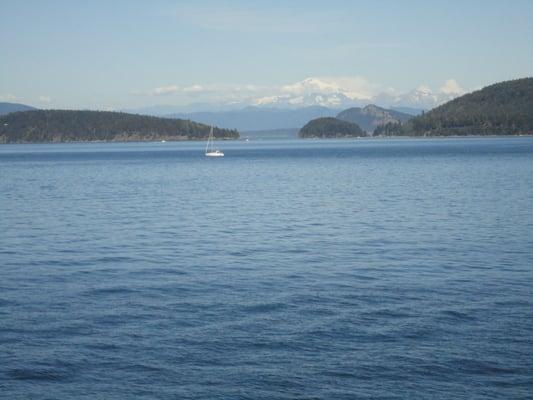 Photo of Julie M.