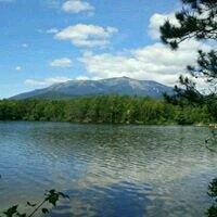 photo of Patricia O.