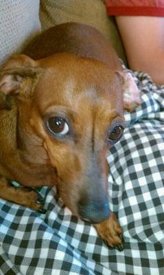 photo of Stephanie L.