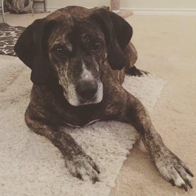 photo of Stephanie B.