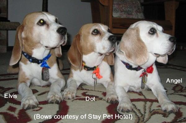 photo of Gary-n-Steph F.