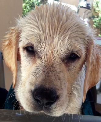 photo of Christine M.