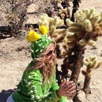 Photo of camella c.