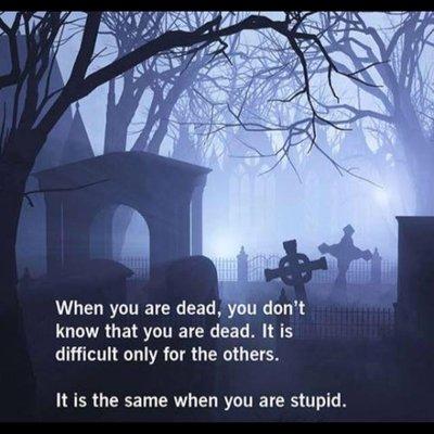 Photo of Chrystal T.