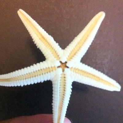 Photo of Star F.