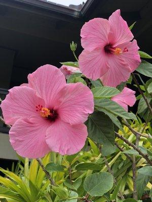 photo of Christopher S.