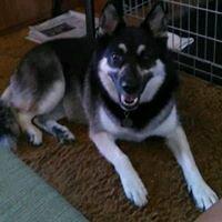 Photo of Keera T.