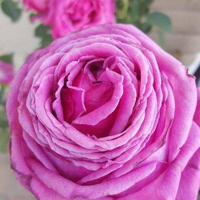 photo of Christina S.