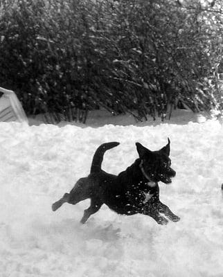 photo of elizabeth j.