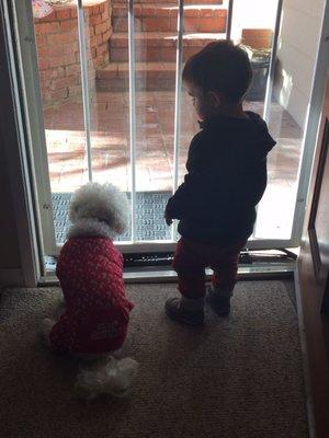 photo of Paulette F.