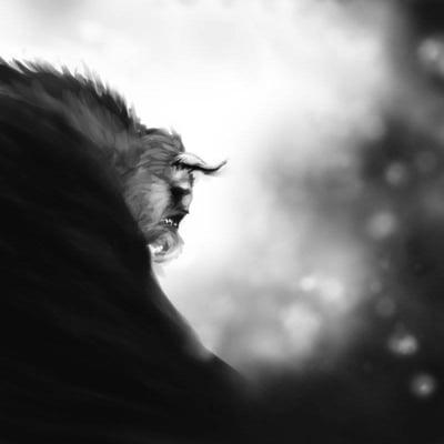 Photo of Calcifer D.