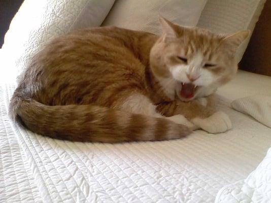 photo of Rosemary D.