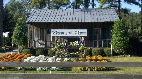 Lawn Barber Nursery