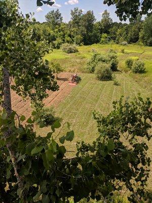 MLT Outdoor Services