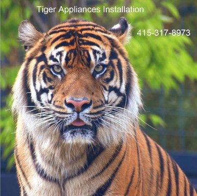 Tiger Appliance Instalation