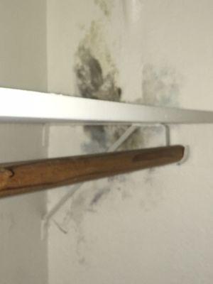 Mold in my closet