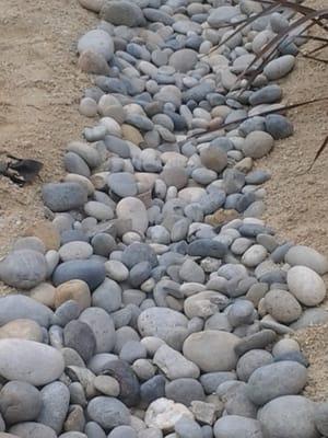 Starving Students Lawnscape