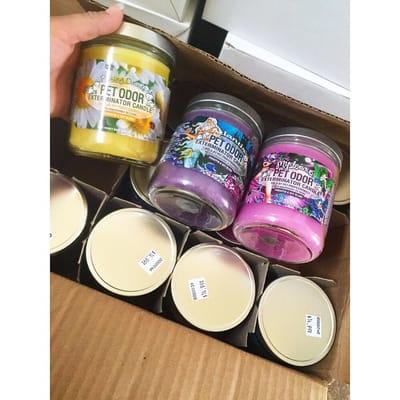 Pet odor candles many different scents
