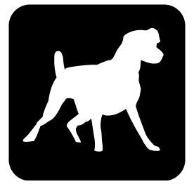 Plasterdog Web Design