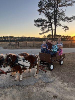 Tuffy Farms Party Ponies and more